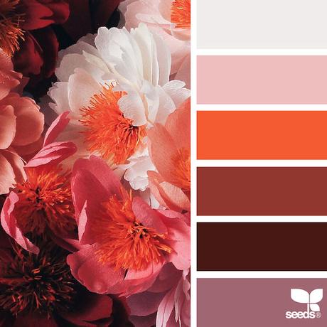design-seeds-color-palettes-inspired-by-nature-16