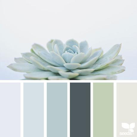 design-seeds-color-palettes-inspired-by-nature-8