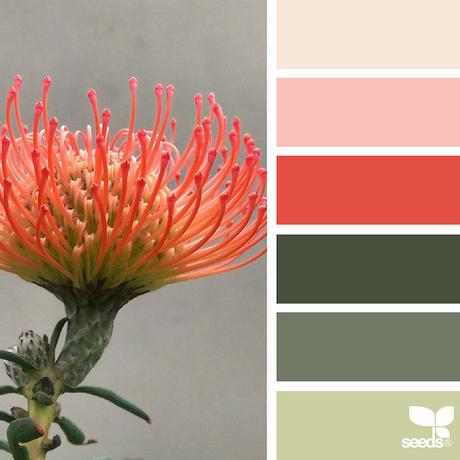 design-seeds-color-palettes-inspired-by-nature-11