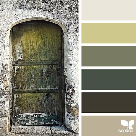 design-seeds-color-palettes-inspired-by-nature-17