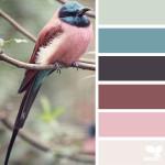 TENDANCES : Color palettes inspired by nature