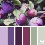 TENDANCES : Color palettes inspired by nature