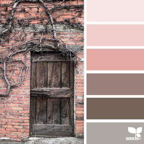 design-seeds-color-palettes-inspired-by-nature-7