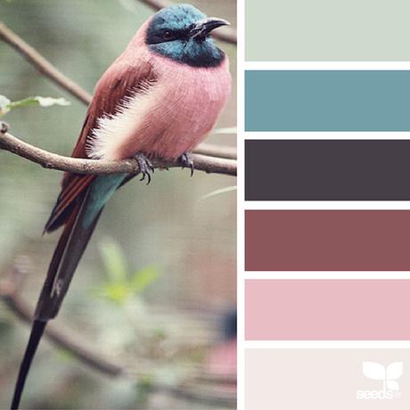 design-seeds-color-palettes-inspired-by-nature-6