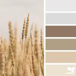 TENDANCES : Color palettes inspired by nature