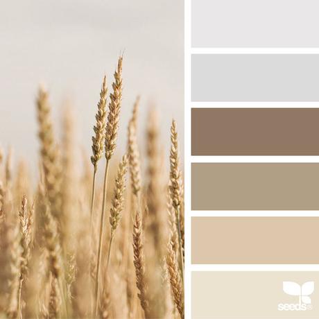 design-seeds-color-palettes-inspired-by-nature-14