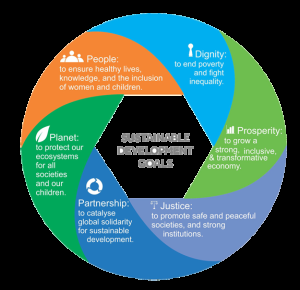 The 6 Principles of the SDGs
