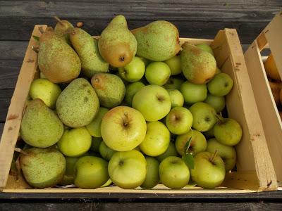 Pommes et poires