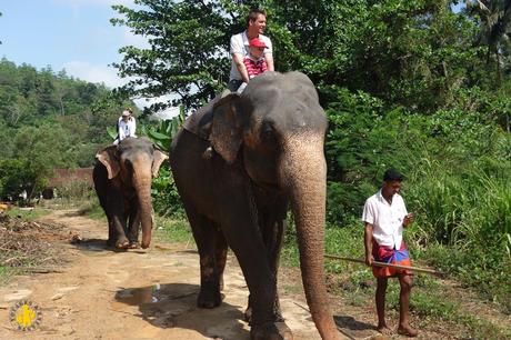 Kandy en famille – suite de notre voyage au Sri-Lanka