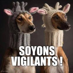 soyons vigilants lol dog