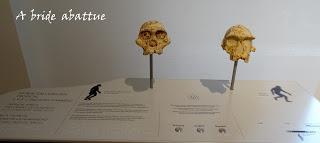 Réouverture du Musée de l'Homme