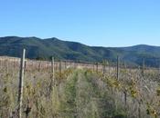 Pélissols, ruée vers l'Orb...