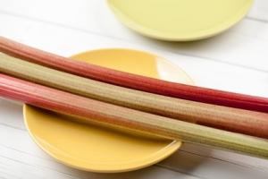 CANCER: La rhubarbe et son pigment bloquent la croissance tumorale – Nature Cell Biology