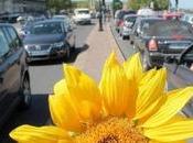 Carte France 2015 l'écologie: Gironde tête. Charente Maritime position classement.