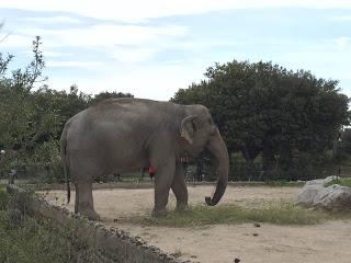 Une République tétanisée devant la violence ?