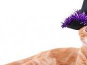 déguisements chats pour Halloween