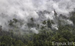 Les feux de forêt en Indonésie perturbent le trafic aérien thaïlandais