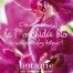Les 1ères orchidées bio vendues en France sont disponibles depuis l'automne 2015 dans tous les magasins Botanic.