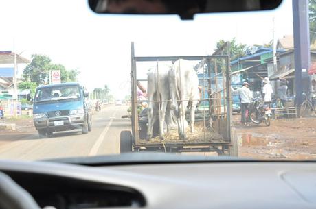 Sur la route de Siem Reap...