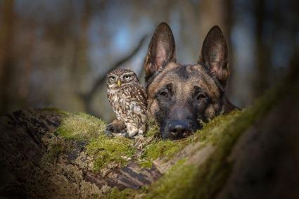 Ingo et Poldi, Tanja Brandt (3)