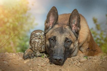 Ingo et Poldi, Tanja Brandt (2)