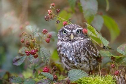 Poldi, Tanja Brandt (10)