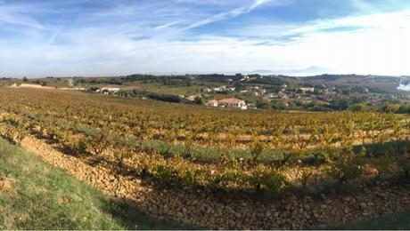 Châteauneuf du Pape automnal