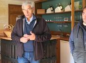 Vinification sans bouge Bordeaux