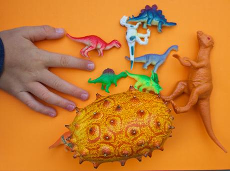 Mais quel est ce fruit ?