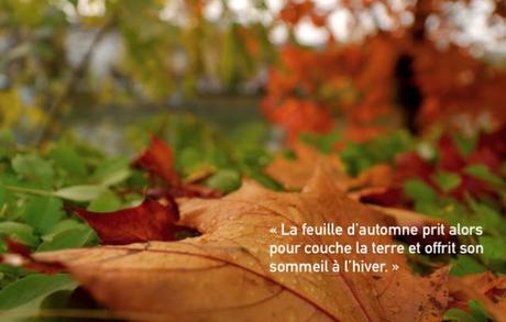 Mélodie d'automne avec Khalil Gibran