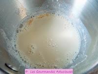 Yaourt vegan à l'orange sans orange