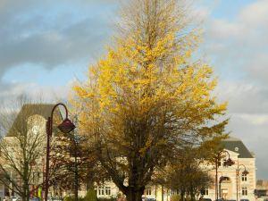 Les blablas du lundi (21) : Une petite pause… DSCN0105