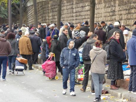 Hidalgocradopolis (2)