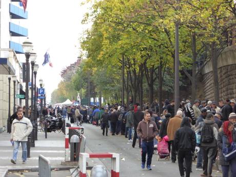 Hidalgocradopolis (2)