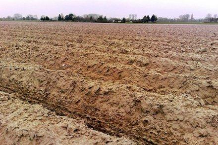 Pollué, labouré, oublié : le sol français est en train de disparaître