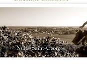 Visite domaine Chicotot Nuits Saint Georges (21)