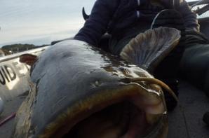 Stage peche jeune Toussaint au lac du Der