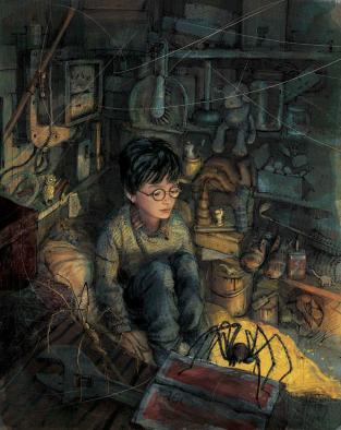 Harry Potter à l’école des sorciers de J.K. Rowling – Version Illustrée de Jim Kay