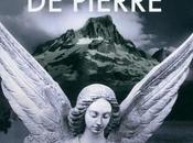 Chronique roman dame Pierre