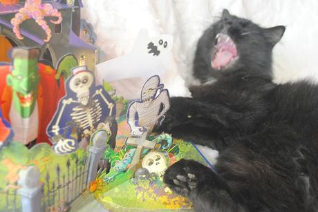 J'♥ Lire : Manoir et Chat noir !