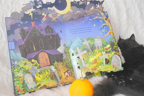 J'♥ Lire : Manoir et Chat noir !