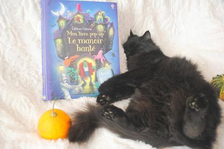 J'♥ Lire : Manoir et Chat noir !