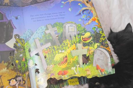 J'♥ Lire : Manoir et Chat noir !