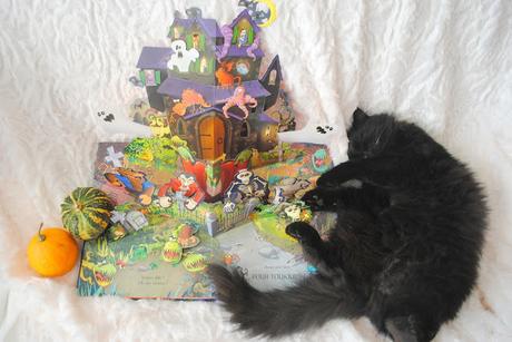 J'♥ Lire : Manoir et Chat noir !