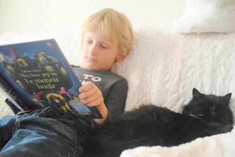 J'♥ Lire : Manoir et Chat noir !