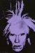 1986, Andy Warhol : Self-portrait ghost (vendu 32 m$)