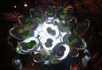 Exposition Star Wars à la Galerie Sakura