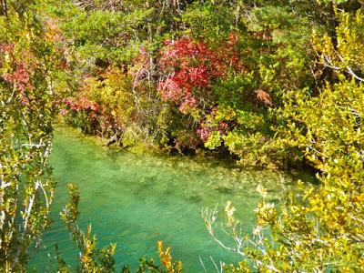 Le Lac Sauvage