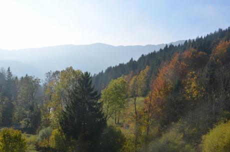 Les flyers morts des salons de l'automne... Les flyers morts des salons de l'automne...