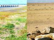 Tendances manucure plage beauté avec Sensationail